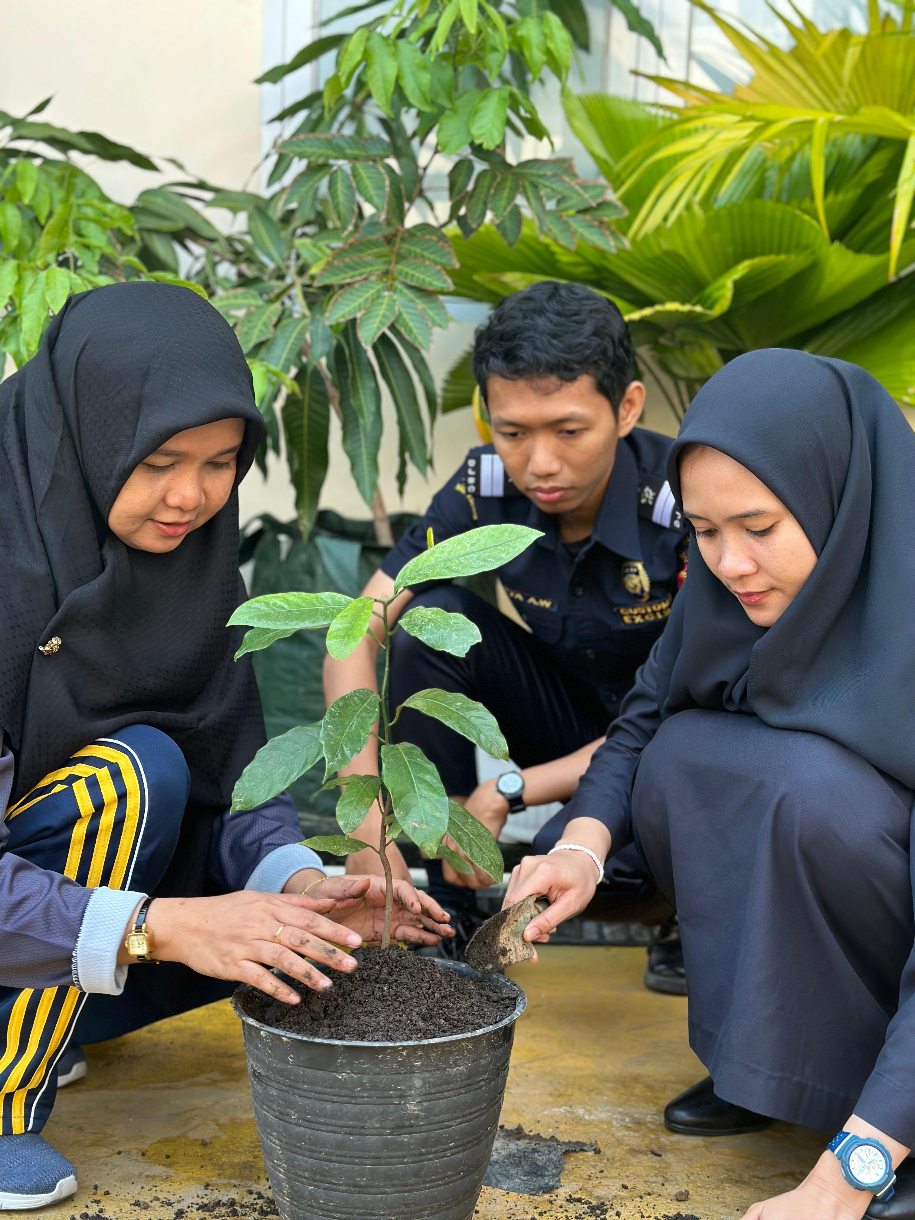 Kemenkeu Peduli Bumi, Partisipasi Bea Cukai Makassar pada Penanaman 107 Pohon.
